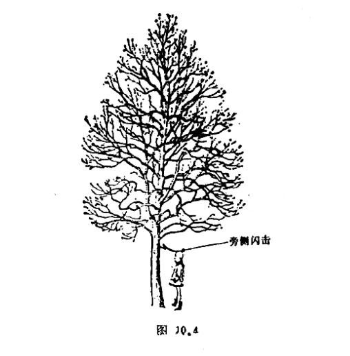你見(jiàn)過(guò)被雷電擊斃的人嗎-旁側(cè)閃擊