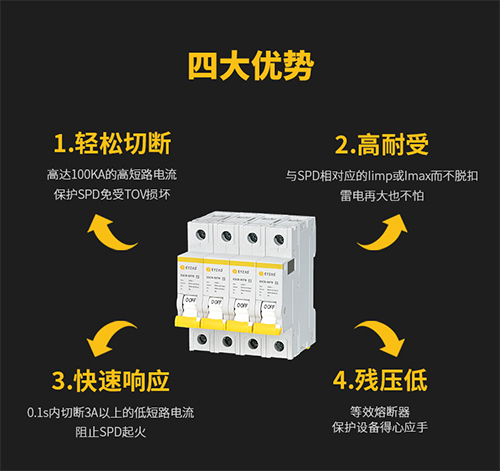SCB后備保護器內(nèi)部結(jié)構(gòu)
